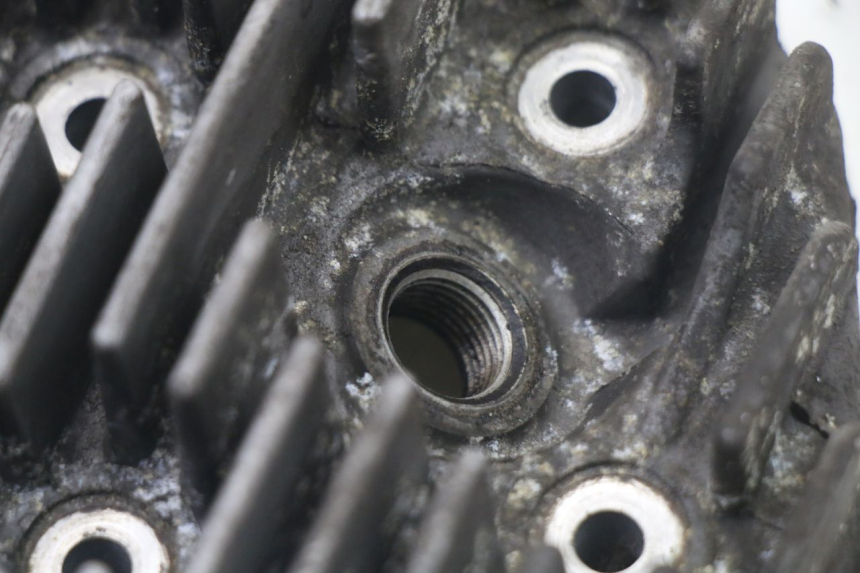 photo de CYLINDER HEAD PEUGEOT ELYSTAR 50 (2002 - 2014) - Technical close-up
