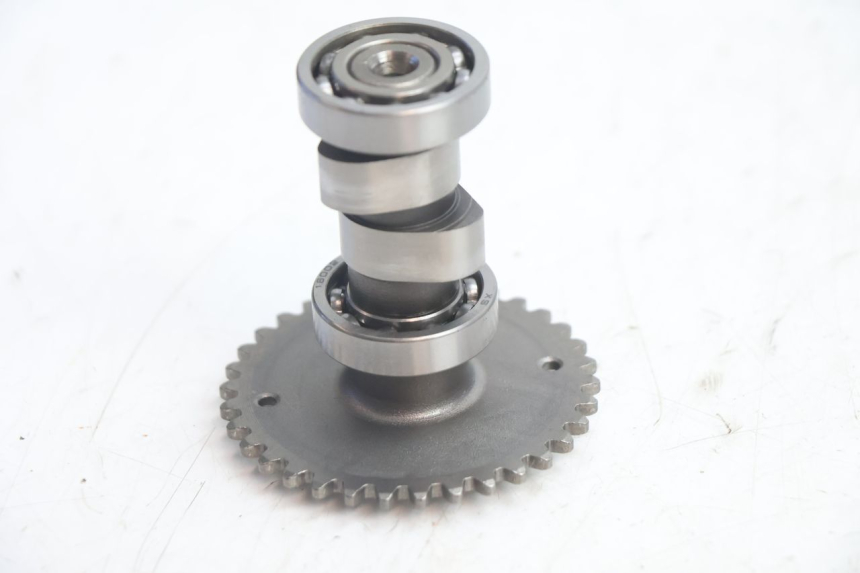 photo de CYLINDER HEAD LAZIO RENO 50 (2016 - 2021) - Detailed visual inspection