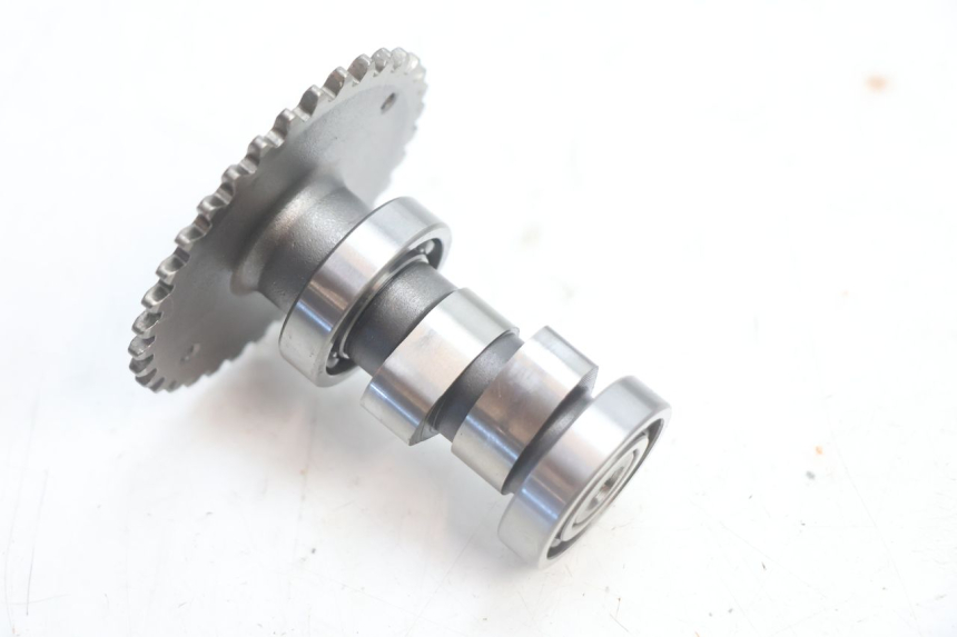 photo de CYLINDER HEAD LAZIO RENO 50 (2016 - 2021) - Focus on structure