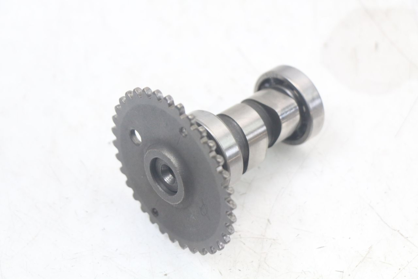 photo de CYLINDER HEAD TNT MOTOR ROMA 10' 4T 50 (2007 - 2018) - Component zoom