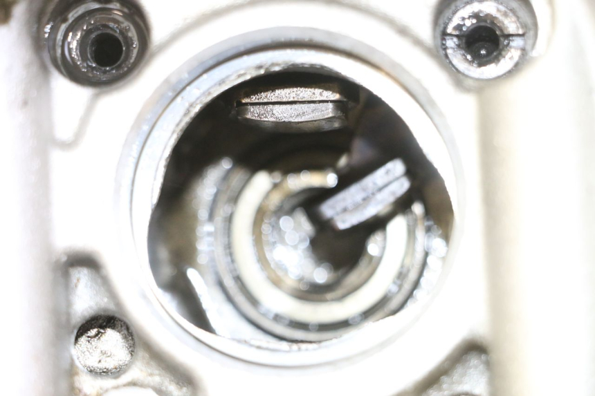 photo de CYLINDER HEAD YAMAHA YFM R RAPTOR 250 (2008 - 2014) - Zoom on usage condition