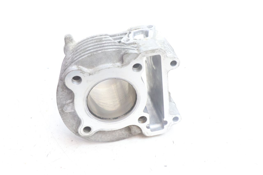 photo de CYLINDER BARREL YAMAHA BW'S BWS 125 (2010 - 2013) - Zoom on usage condition