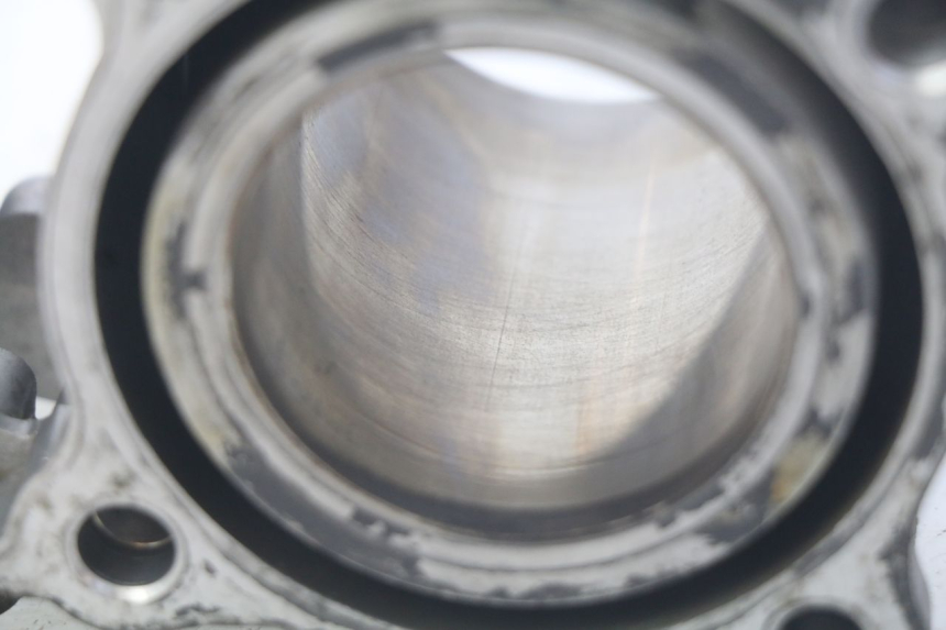 photo de CYLINDER HONDA FES PANTHEON 125 (2003 - 2007) - Technical close-up