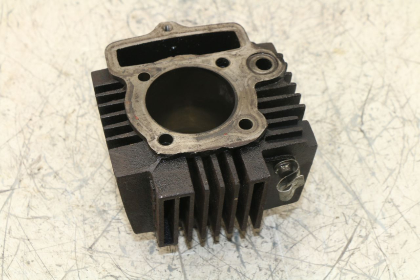 photo de CYLINDER BARREL PANTHERA PANTHERA 110 (2010 - 2017) - Distinctive features