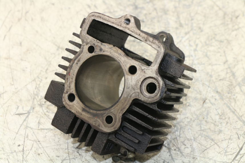 photo de CYLINDER BARREL PANTHERA PANTHERA 110 (2010 - 2017) - Component zoom