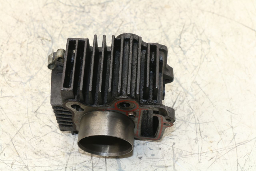 photo de CYLINDER BARREL PANTHERA PANTHERA 110 (2010 - 2017) - Technical close-up