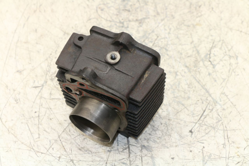 photo de CYLINDER BARREL PANTHERA PANTHERA 110 (2010 - 2017) - Product overview