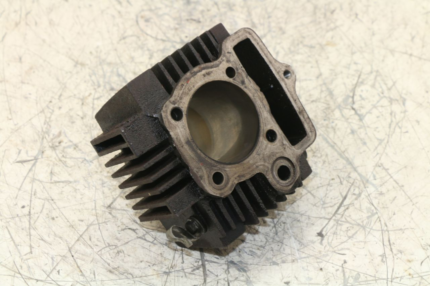 photo de CYLINDER BARREL PANTHERA PANTHERA 110 (2010 - 2017) - Fixing points details