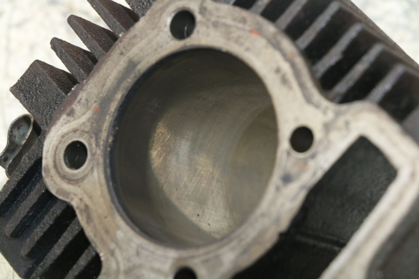 photo de CYLINDER BARREL PANTHERA PANTHERA 110 (2010 - 2017) - Checked used part