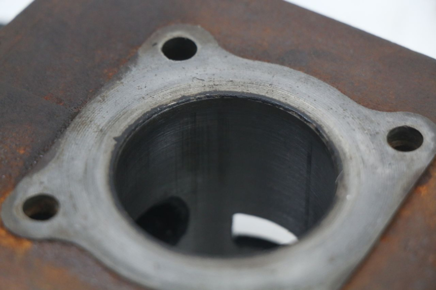 photo de CYLINDER BARREL PEUGEOT LUDIX 50 (2005 - 2007) - Component detail