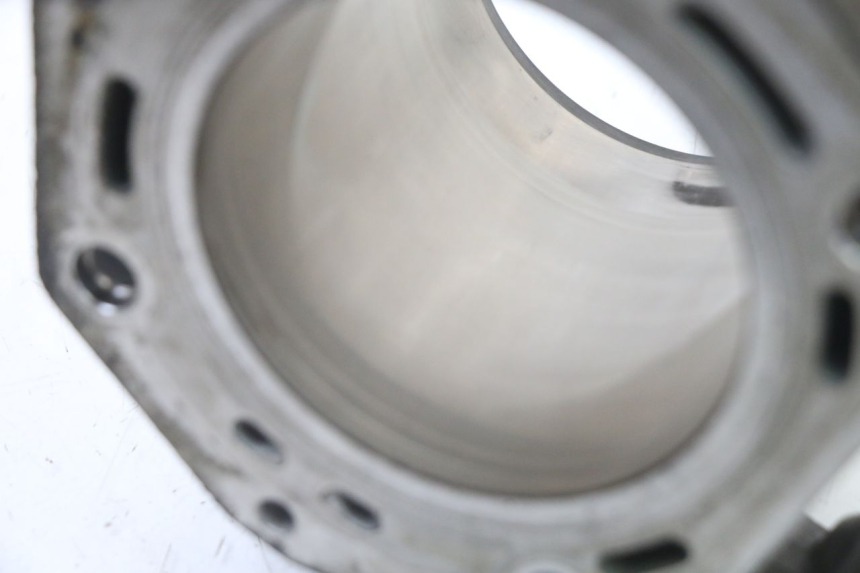 photo de CYLINDER BARREL PIAGGIO MP3 LT 400 (2007 - 2012) - Technical close-up