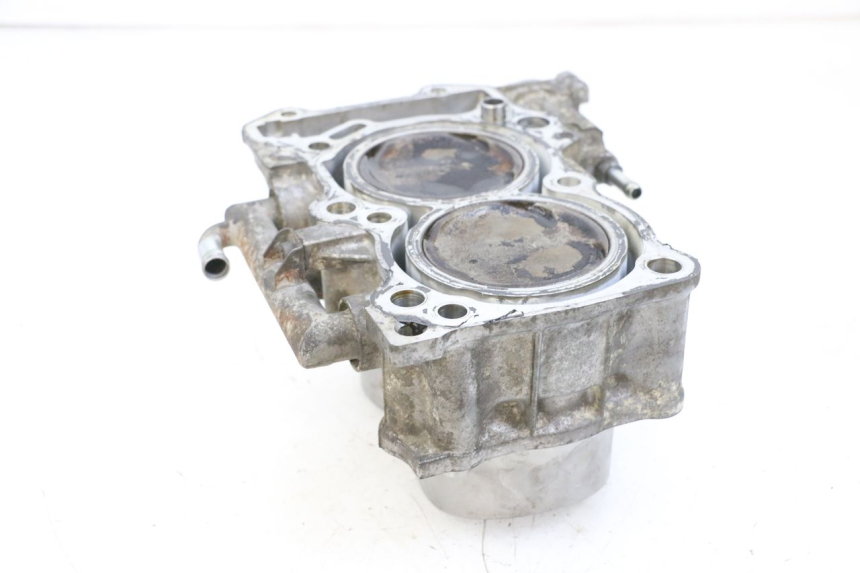 photo de CYLINDER BARREL PISTON SUZUKI BURGMAN 650 (2013 - 2020) - Alternative perspective