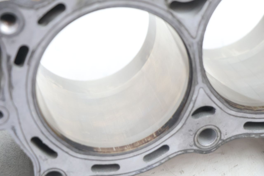 photo de CYLINDER BARREL PISTON KAWASAKI ER-6 ER6 N 650 (2005 - 2009) - Detailed visual inspection