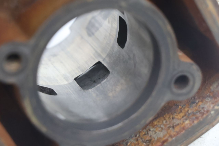 photo de CYLINDER BARREL PISTON PEUGEOT LUDIX BLASTER 50 (2006 - 2014) - Focus on structure