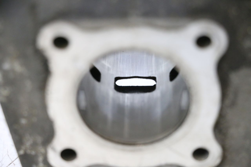 photo de CYLINDER BARREL PISTON PEUGEOT LUDIX ONE 50 (2004 - 2013) - Technical close-up