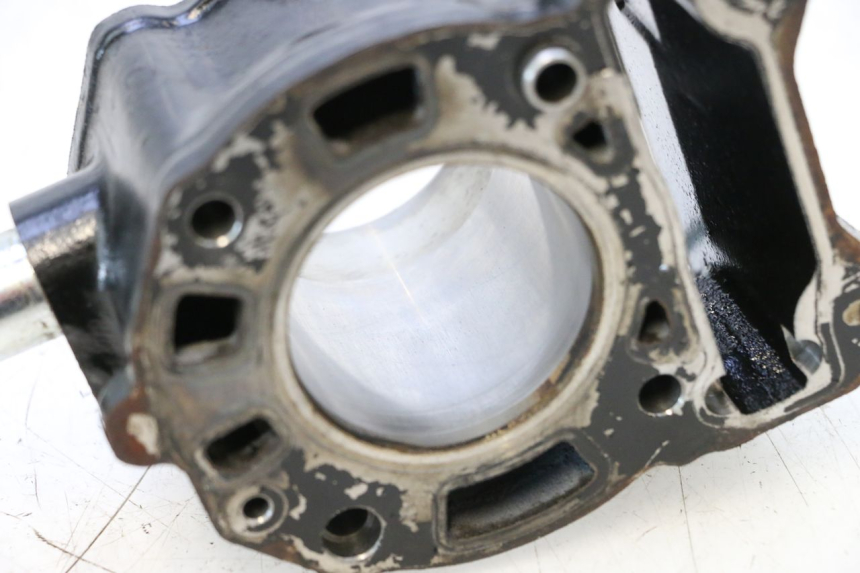 photo de CYLINDER PISTON PIAGGIO MP3 125 (2006 - 2014) - Checked used part