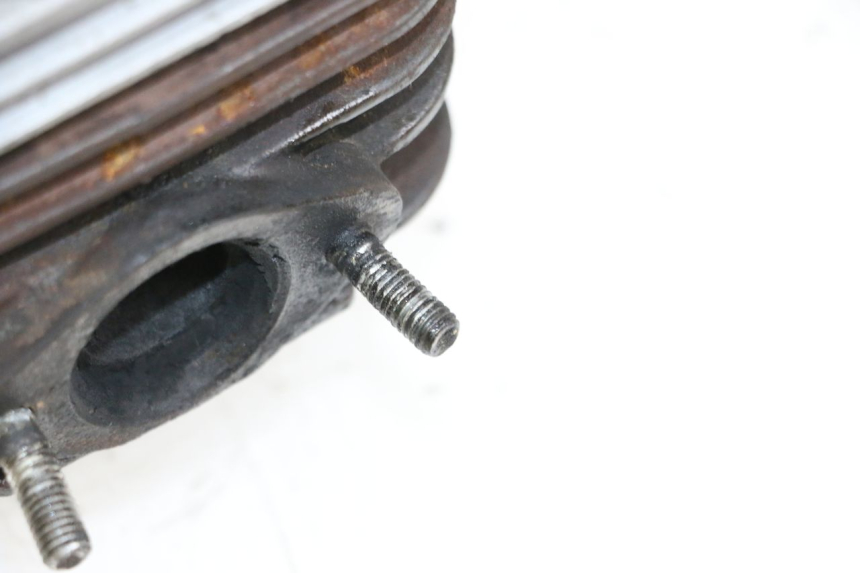 photo de CYLINDER BARREL PISTON PIAGGIO NEW TYPHOON 50 (2018 - 2021) - Alternative perspective