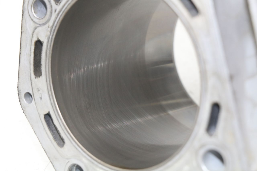 photo de CYLINDER BARREL PISTON PEUGEOT SATELIS 500 (2007 - 2013) - Technical close-up