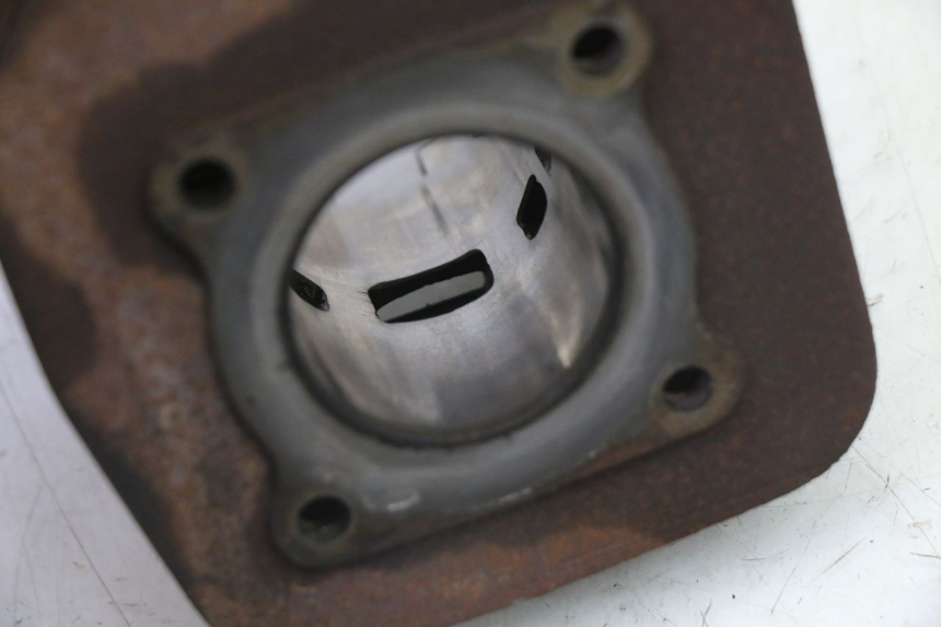 photo de CYLINDER BARREL PISTON PEUGEOT SPEEDFIGHT 3 AIR 50 (2009 - 2015) - Distinctive features