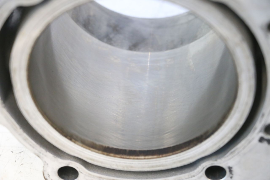 photo de CYLINDER BARREL PISTON CAN-AM SPYDER RS 1000 (2008 - 2012) - Distinctive features