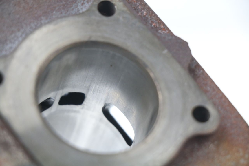 photo de CYLINDER BARREL PISTON APRILIA SR 2T 50 (2012 - 2017) - Product overview