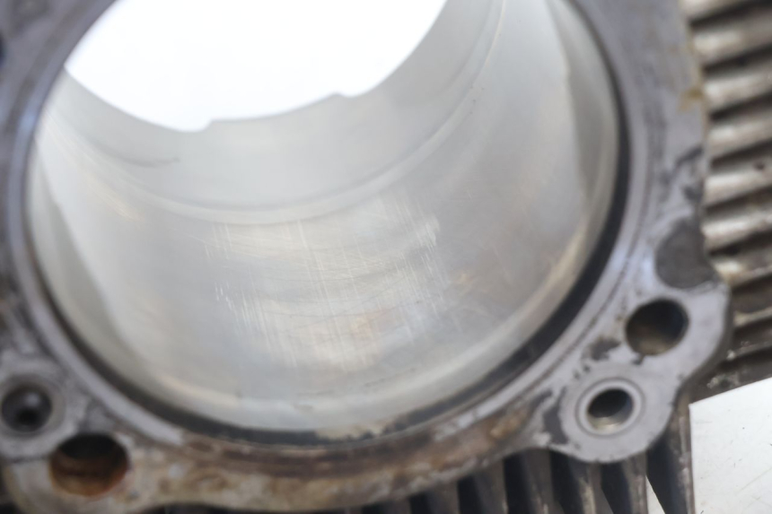 photo de CYLINDER BARREL PISTON DUCATI SS IE DS CARENEE 1000 (2002 - 2006) - Focus on structure