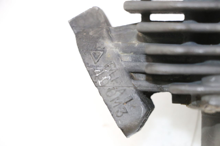 photo de CYLINDER BARREL PISTON PEUGEOT TREKKER 50 (1995 - 2004) - Focus on structure