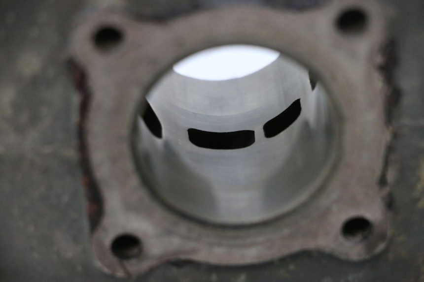 photo de CYLINDER BARREL PISTON PEUGEOT TREKKER 50 (1995 - 2004) - Product overview