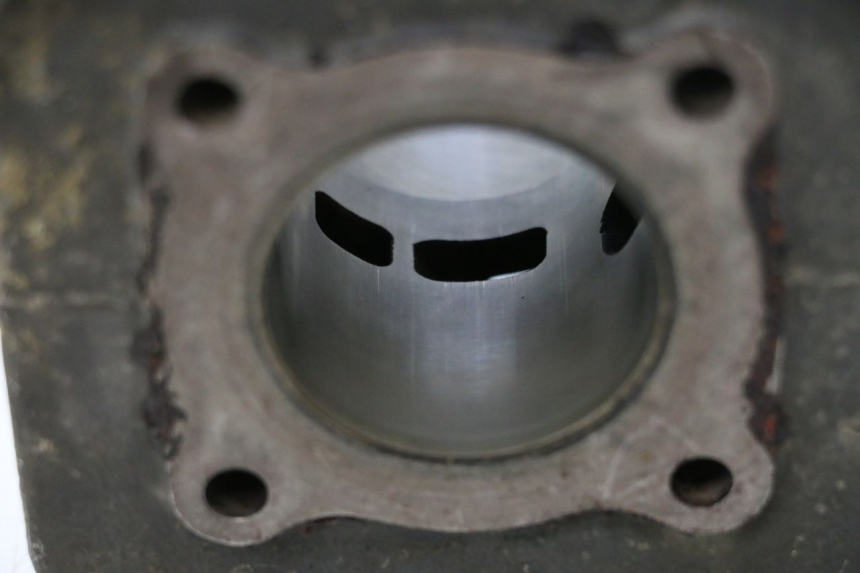 photo de CYLINDER BARREL PISTON PEUGEOT TREKKER 50 (1995 - 2004) - Surface and material condition