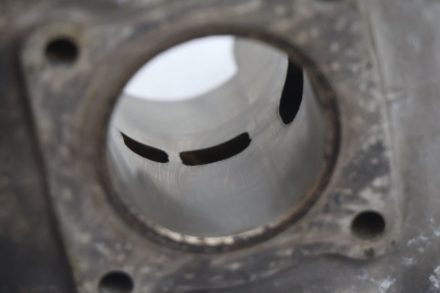 photo de CYLINDER BARREL PISTON PEUGEOT TREKKER 50 (1995 - 2004) - Product overview
