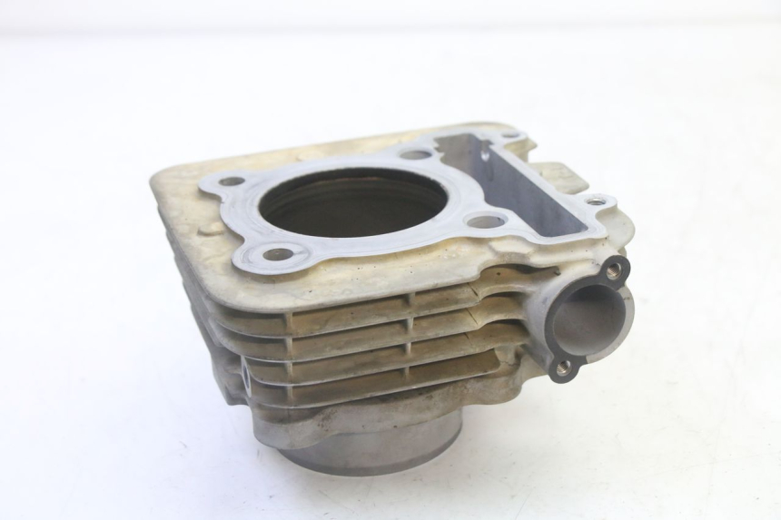 photo de CYLINDER BARREL PISTON YAMAHA YFM R RAPTOR 250 (2008 - 2014) - Distinctive features