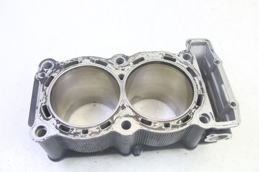 photo de CYLINDER BARREL YAMAHA TDM ABS 900 (2002 - 2014) - Zoom on usage condition