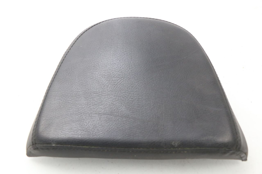 photo de BACKREST ERIDER CARGO 1 (2009 - 2018) - Main view