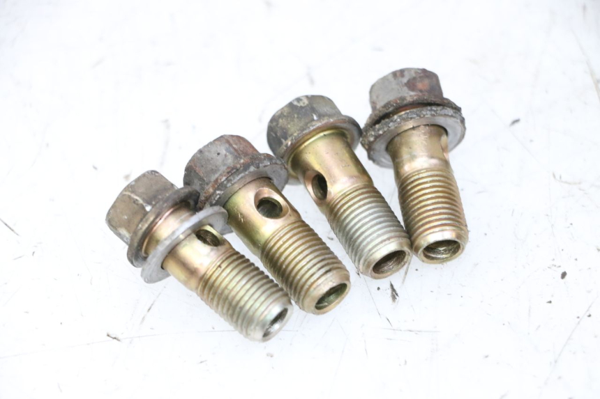 photo de OIL HOSE DAELIM HISTORY 125 (2001 - 2002) - Additional view of the item