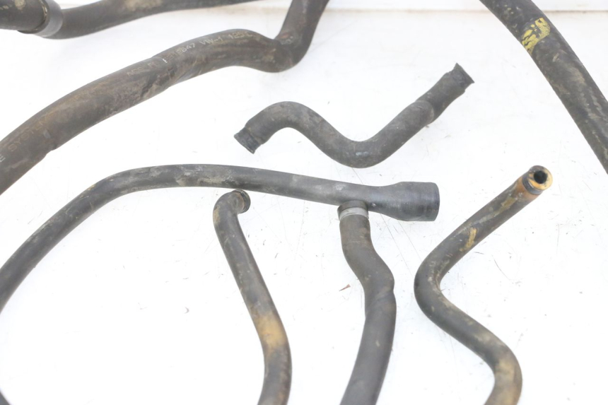 photo de RADIATOR HOSE PIAGGIO MP3 RL 250 (2006 - 2010) - Alternative perspective