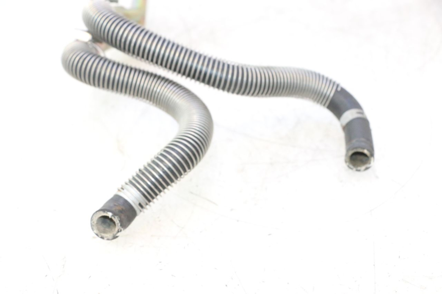 photo de RADIATOR HOSE HONDA SH 125 (2001 - 2003) - Checked used part