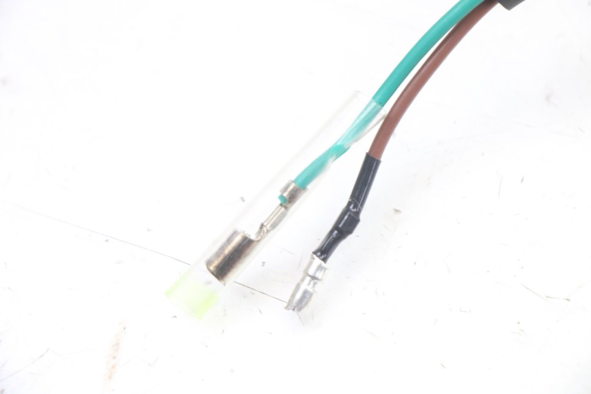 photo de NUMBER PLATE LIGHTING PEUGEOT TWEET 4T 50 (2023 - 2025) - Product overview