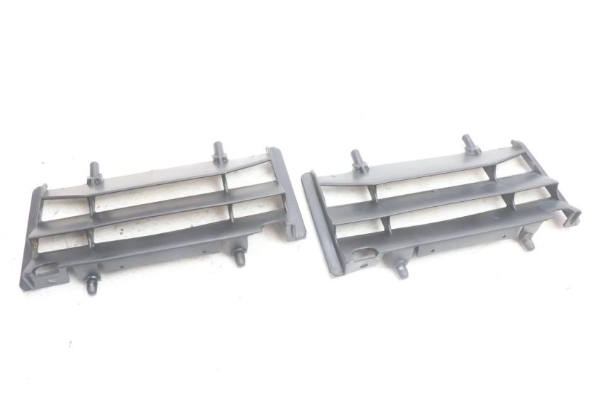 photo de RADIATOR SCOOP RIEJU MRT PRO SUPERMOTARD 50 (2007 - 2018) - Main view