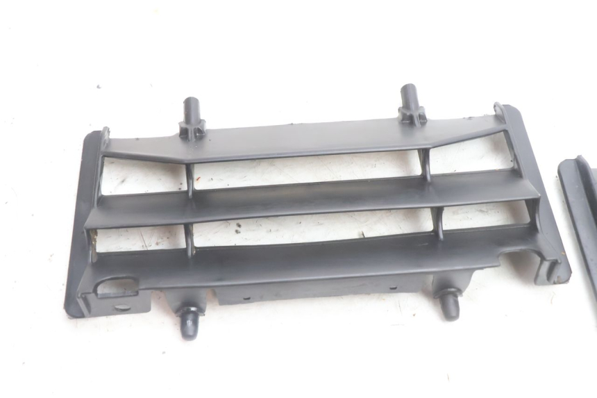photo de RADIATOR SCOOP RIEJU MRT PRO SUPERMOTARD 50 (2007 - 2018) - Component detail