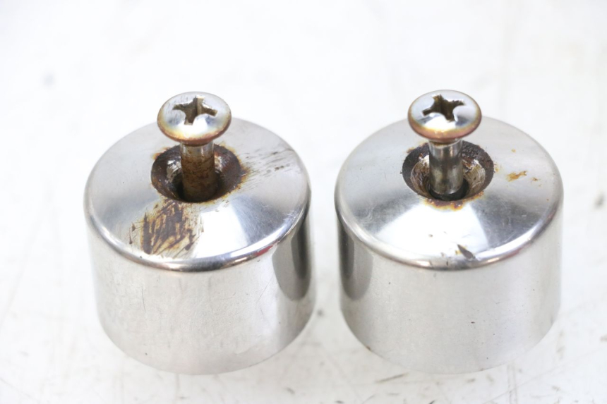 photo de HANDLEBAR ENDS HONDA FES S-WING SWING 125 (2007 - 2015) - Main view