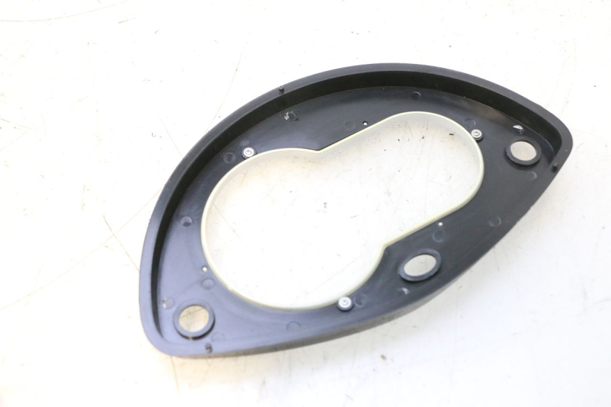 photo de SPEEDOMETER PANEL PEUGEOT TWEET 4T 50 (2018 - 2022) - Component detail