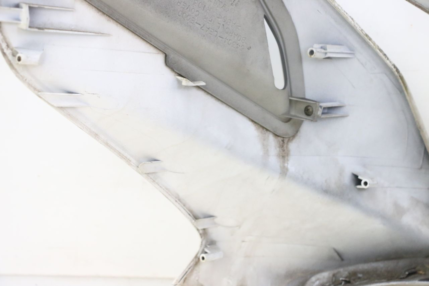 photo de FRONT PANEL KYMCO DINK STREET 125 (2009 - 2014) - Surface and material condition