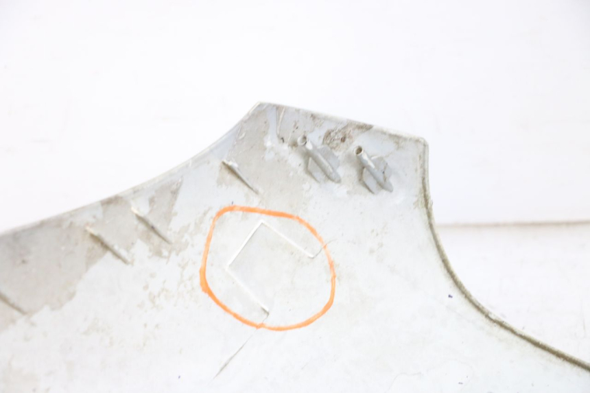 photo de FRONT FAIRING PEUGEOT ELYSEO 125 (1999 - 2004) - Zoom on usage condition