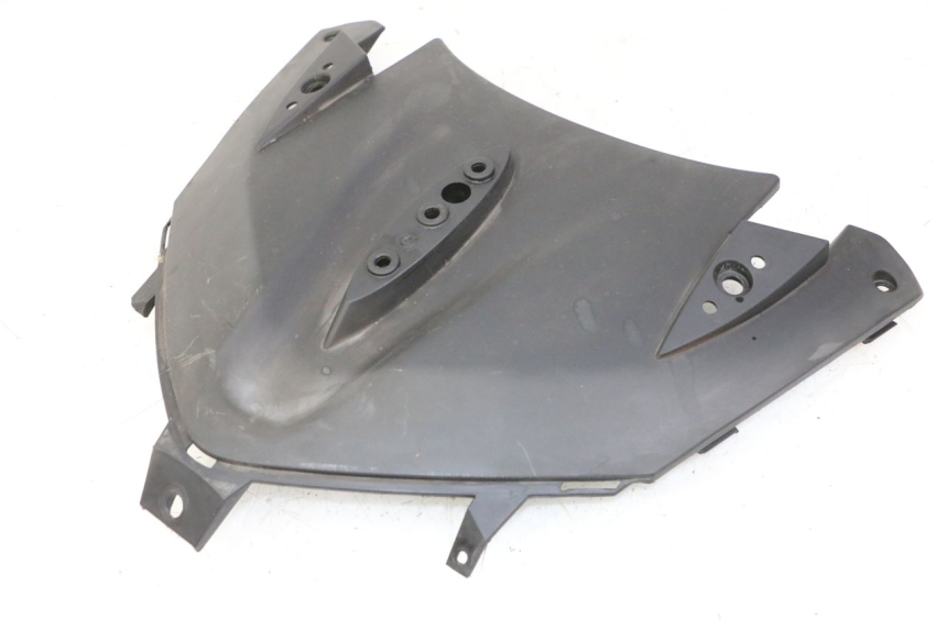 photo de INNER FRONT FAIRING GILERA NEXUS 300 (2008 - 2013) - Main view