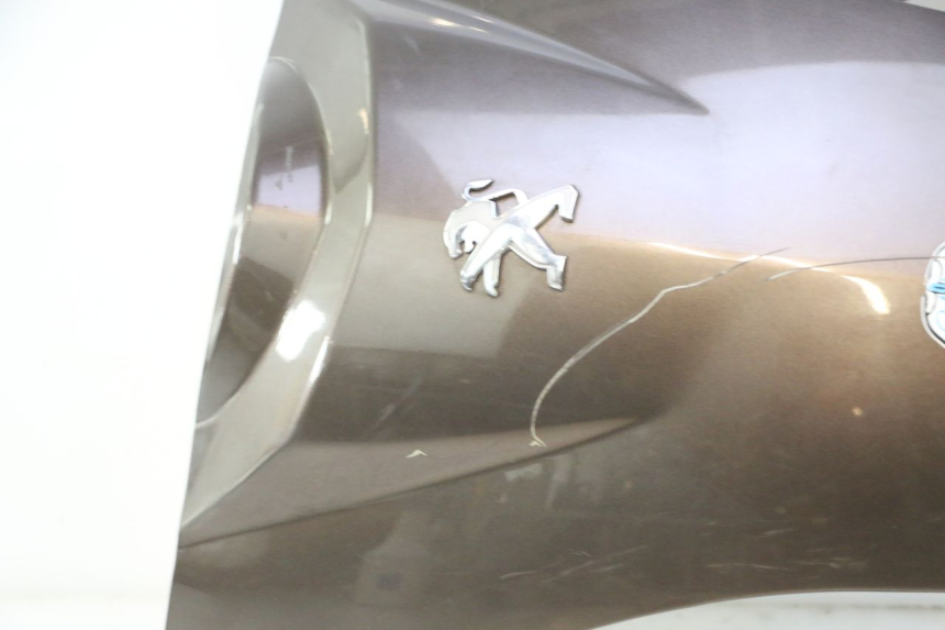 photo de FRONT PANEL PEUGEOT KISBEE 4T 50 (2010 - 2017) - Detailed visual inspection