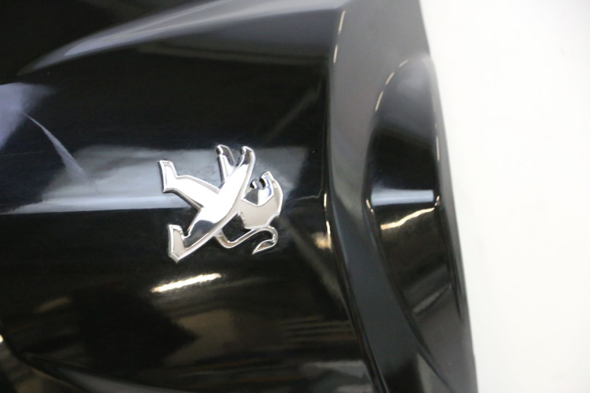 photo de FRONT PANEL PEUGEOT KISBEE 4T 50 (2010 - 2017) - Detailed visual inspection