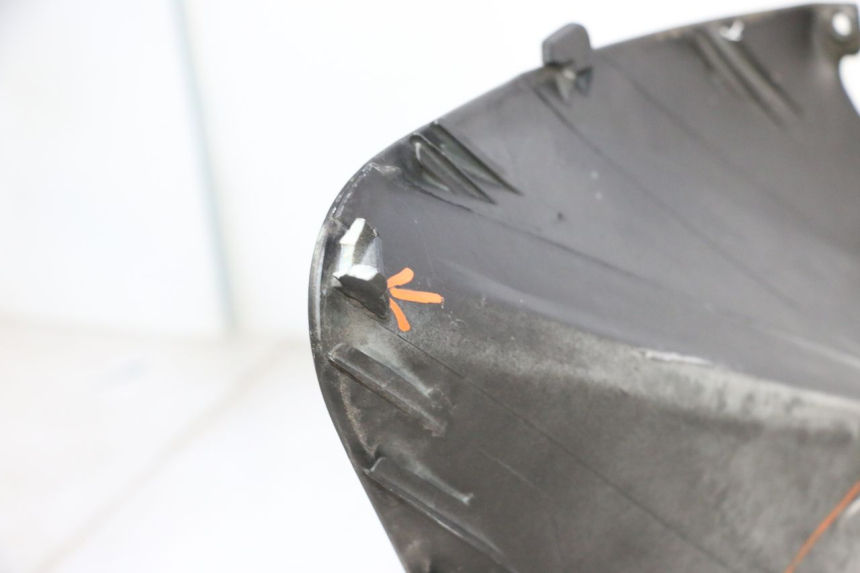 photo de FRONT FAIRING PIAGGIO MP3 RL 250 (2006 - 2010) - Component detail