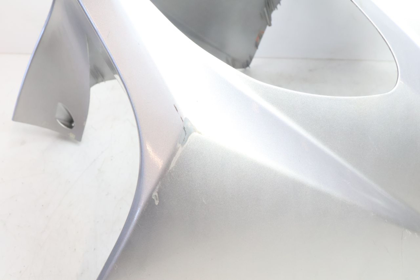 photo de FRONT FAIRING DAELIM S2 125 (2006 - 2007) - Component zoom