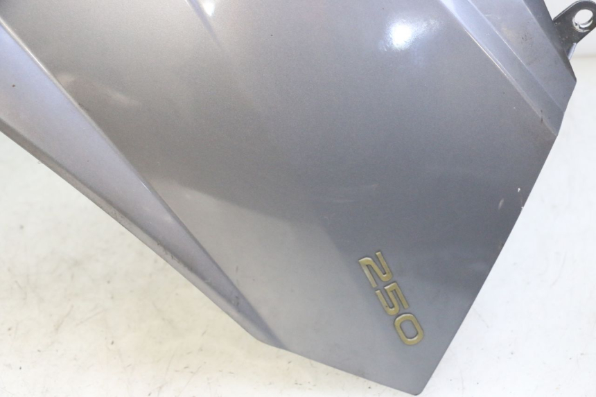 photo de FRONT FAIRING PEUGEOT SATELIS 250 (2006 - 2012) - Checked used part