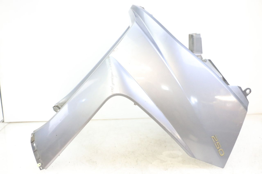 photo de FRONT FAIRING PEUGEOT SATELIS 250 (2006 - 2012) - Distinctive features